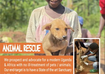 ANIMAL RESCUE